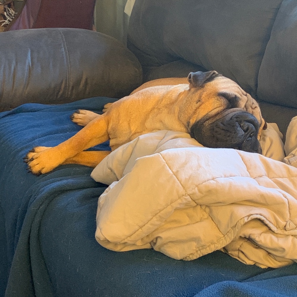 Meet your Posher, Donna